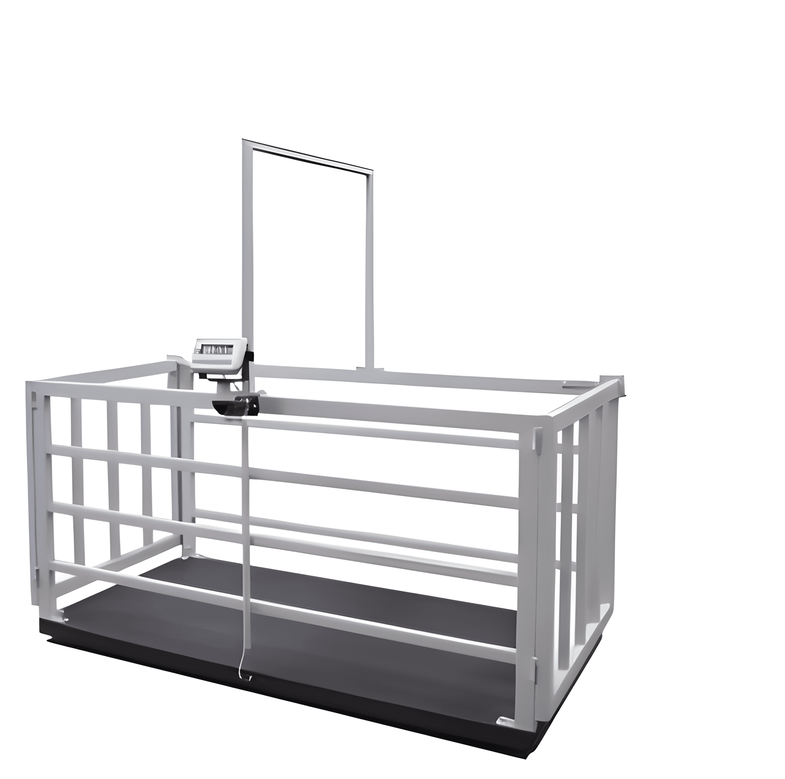 Livestock Scale