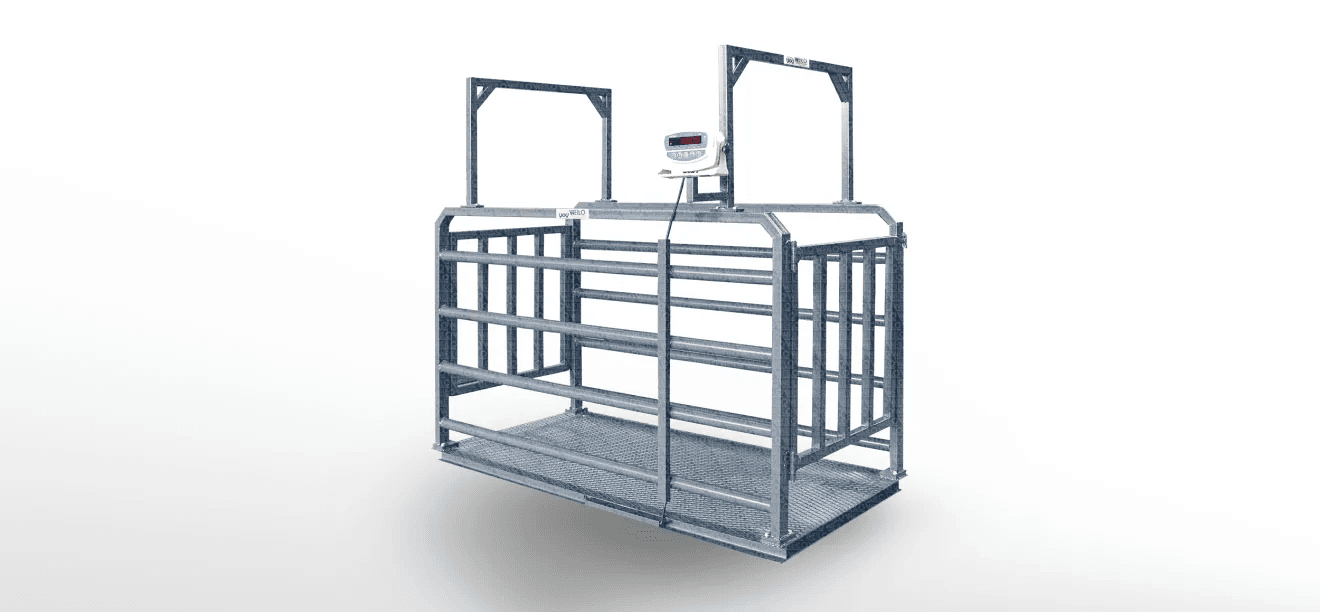 BBH Livestock Scale